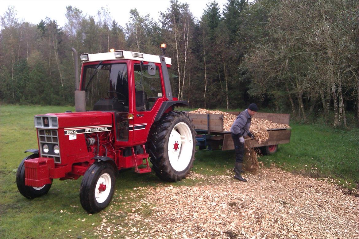 International Harvester 685 XL - Spredning af flis. billede 3