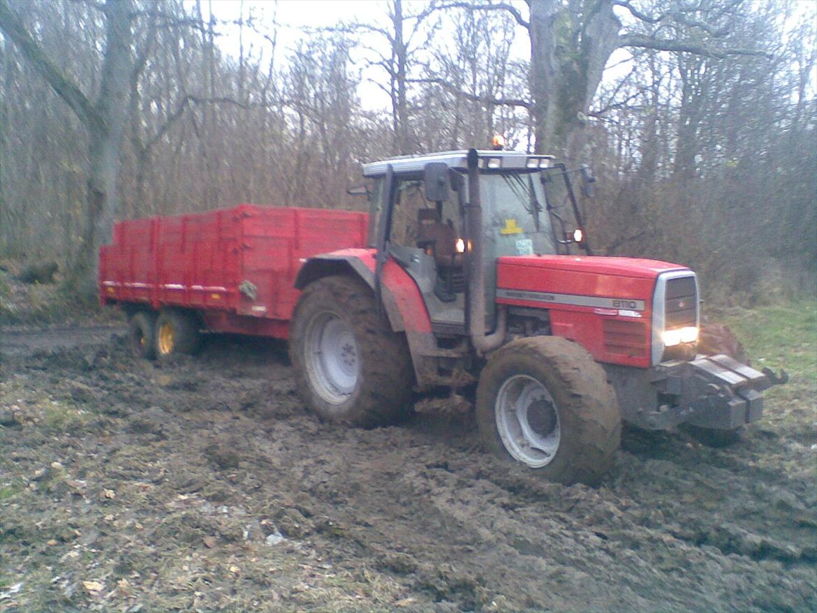 Massey Ferguson 8110 billede 2