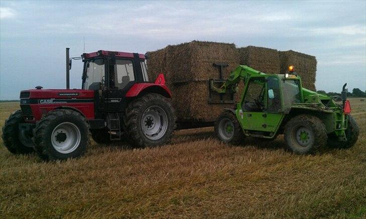 Case IH 1255 billede 2
