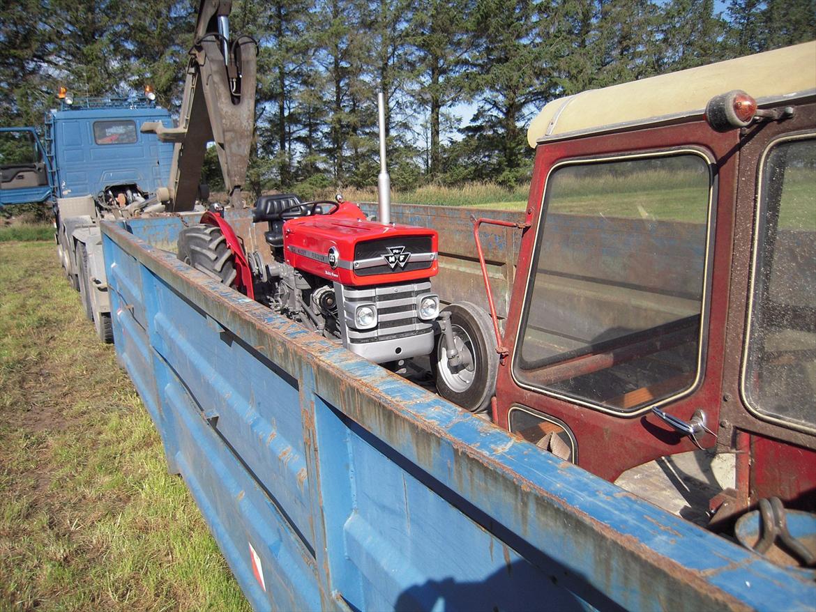 Massey Ferguson 135 billede 6