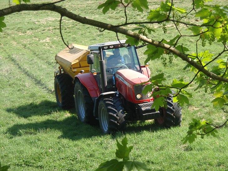 Massey Ferguson 7480 DynaVT billede 3