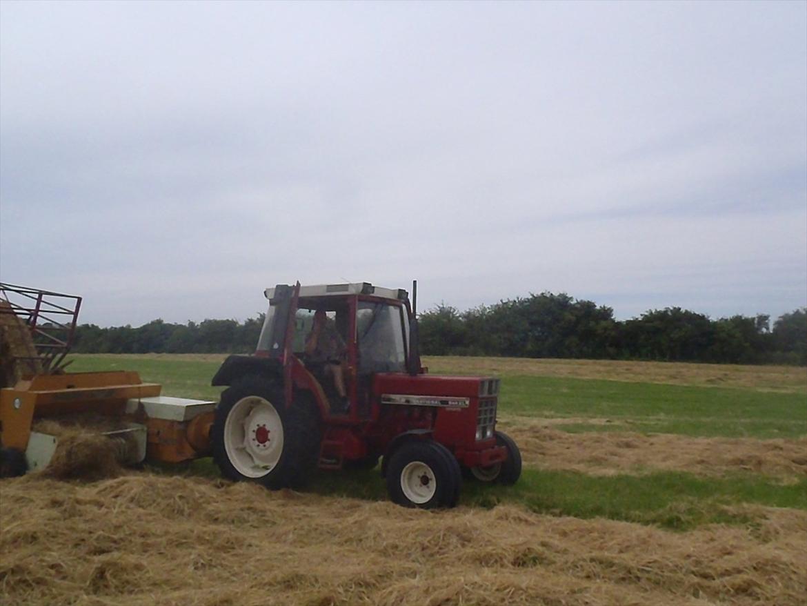 International Harvester 844 XL - Juli 11. IH spændt for presser Rieverre Caselis billede 8