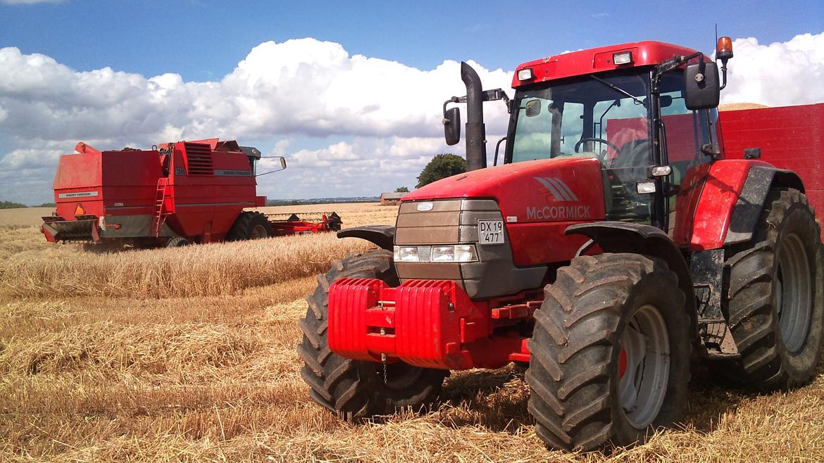 McCormick MTX 140 - Høst af vinterbyg 2010. McCormick, med 12 tons Baastrup, og MF 36, med 18 fods skærebord. billede 1