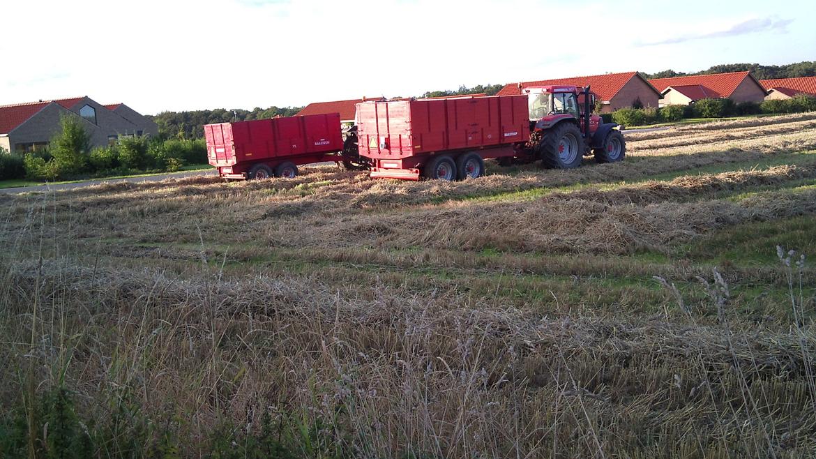McCormick MTX 140 - Hvede høst. MF 399, med 7 tons Baastrup, og McCormick, med 12 tons Baastrup. billede 2