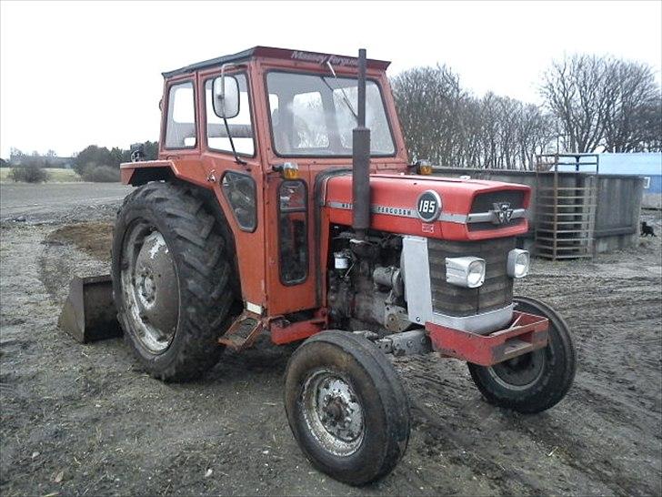 Massey Ferguson 185 billede 1