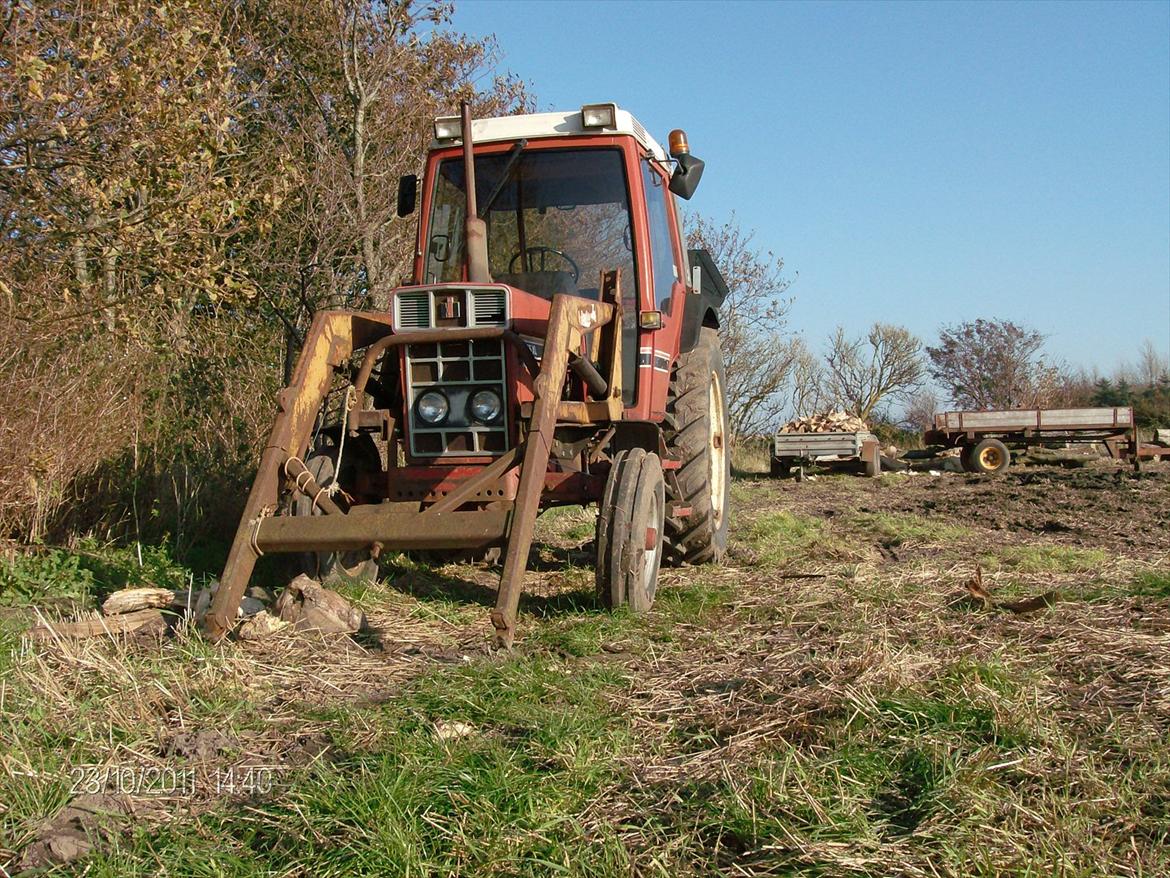 International Harvester 685 xl billede 2