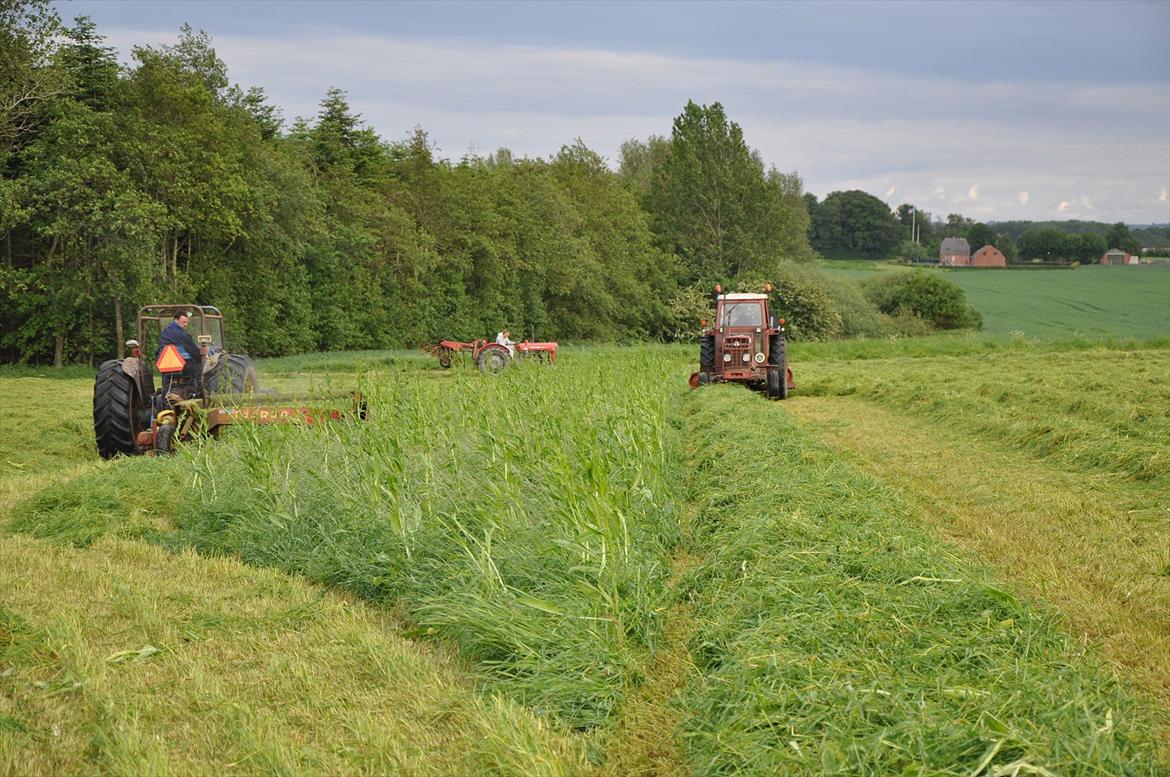 Massey Ferguson 185 billede 2