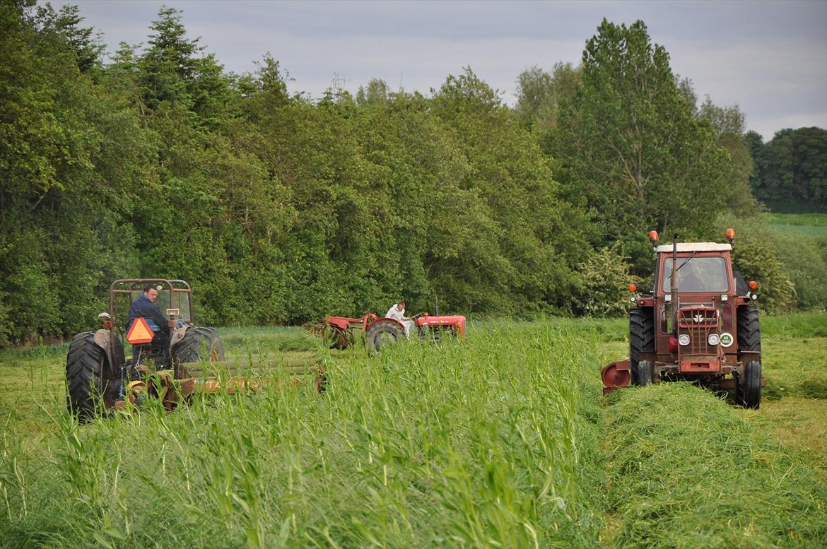 Massey Ferguson 185 billede 3