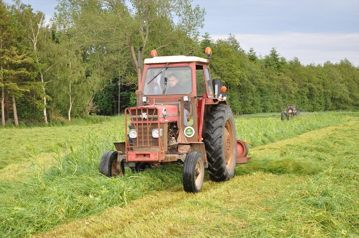 Massey Ferguson 185 billede 4