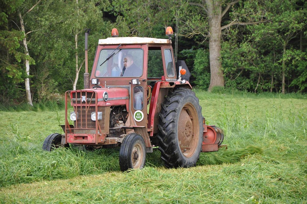 Massey Ferguson 185 billede 6