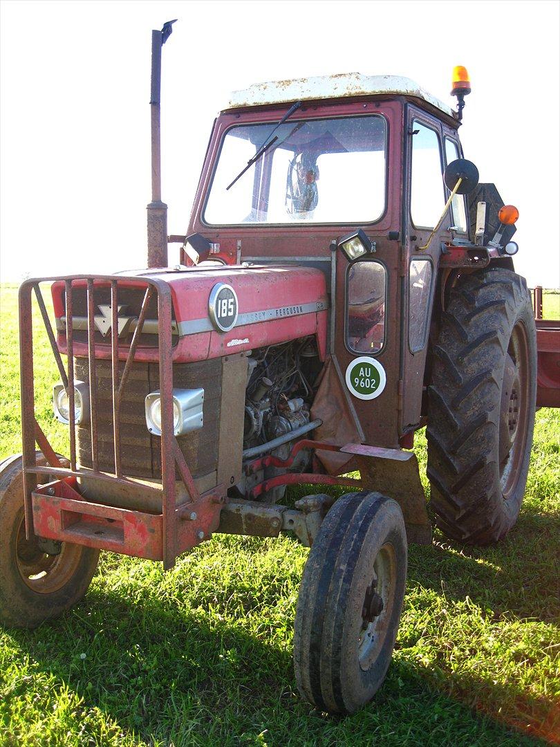 Massey Ferguson 185 billede 7