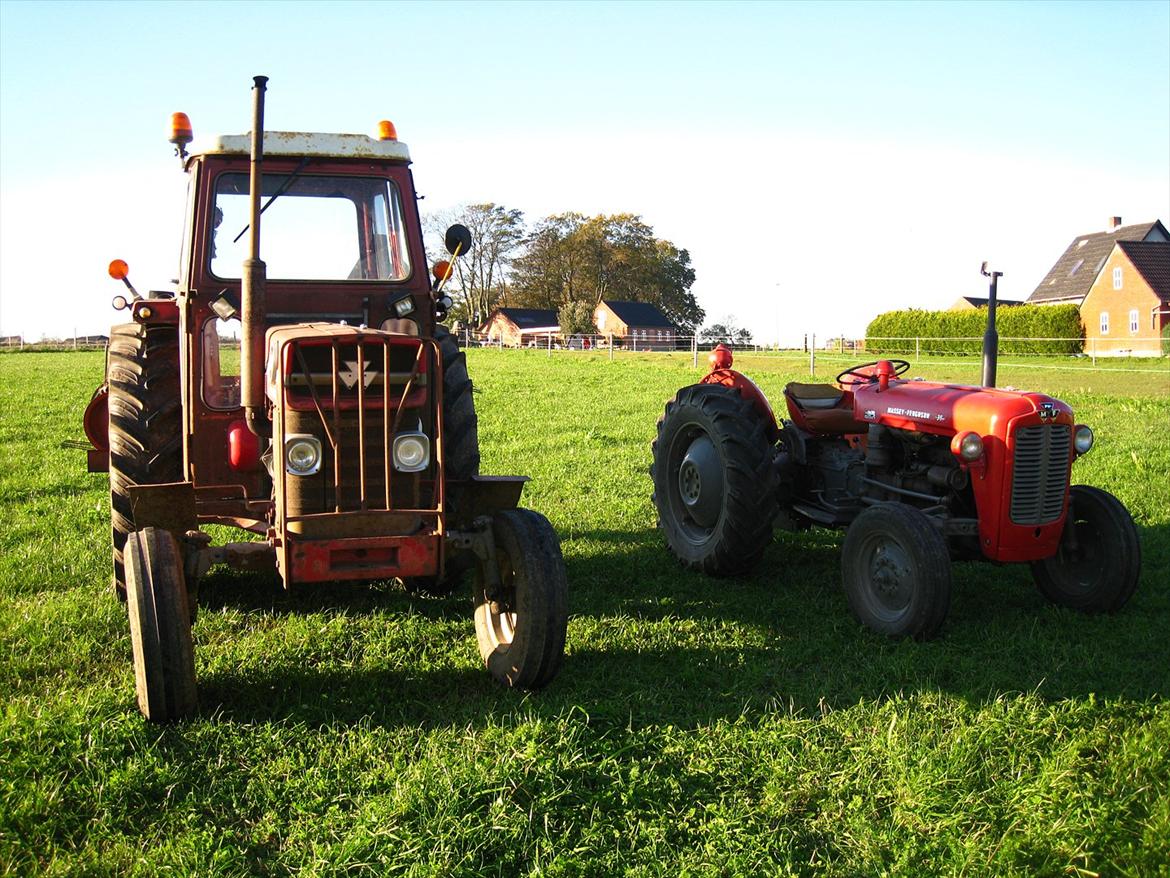 Massey Ferguson 185 billede 12