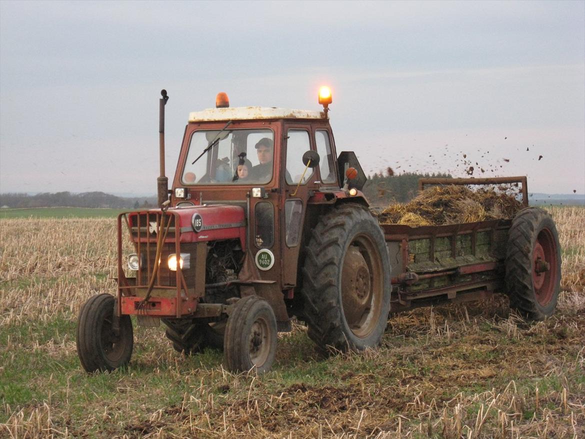 Massey Ferguson 185 billede 18