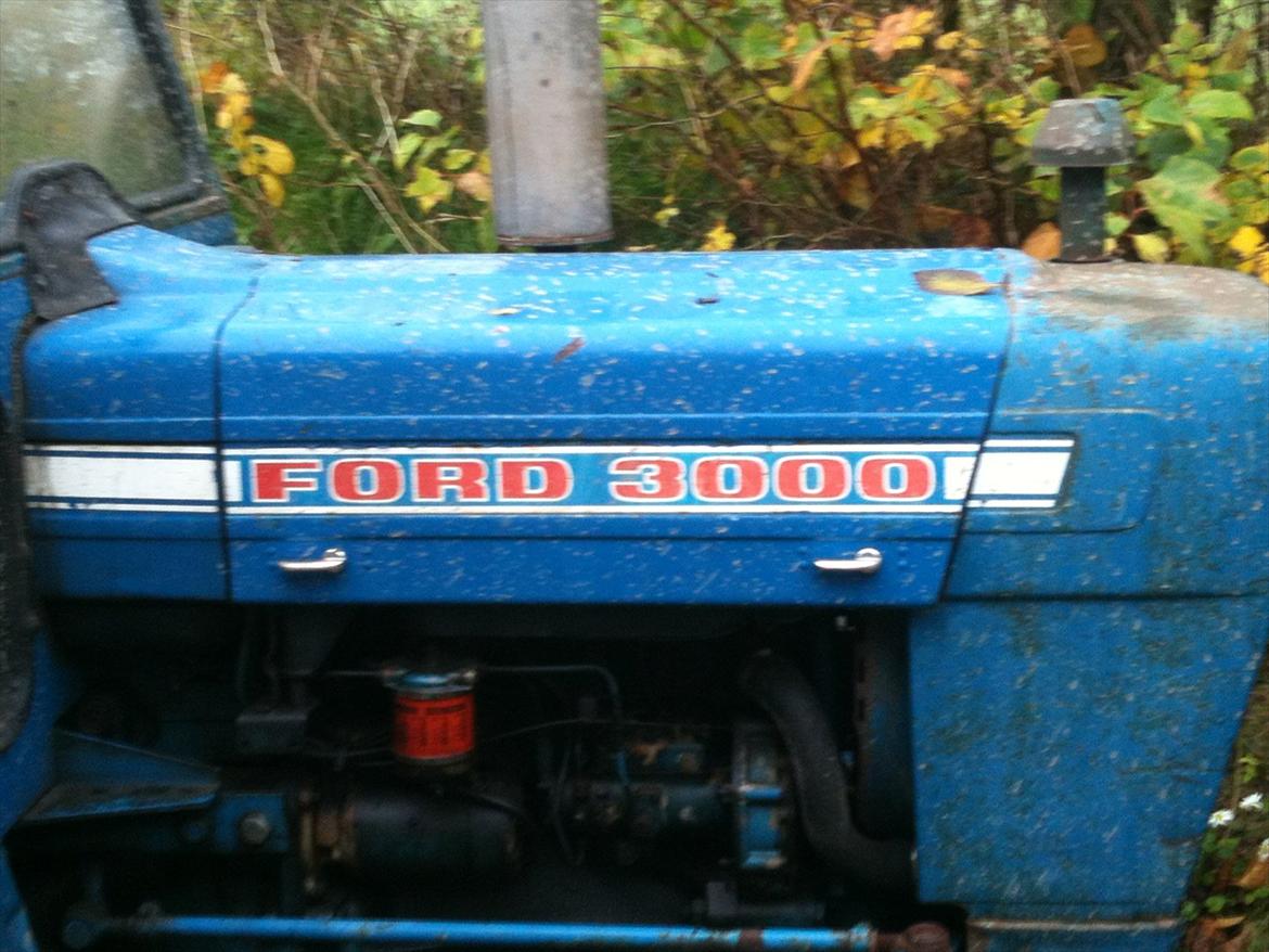 Ford 3000 billede 5