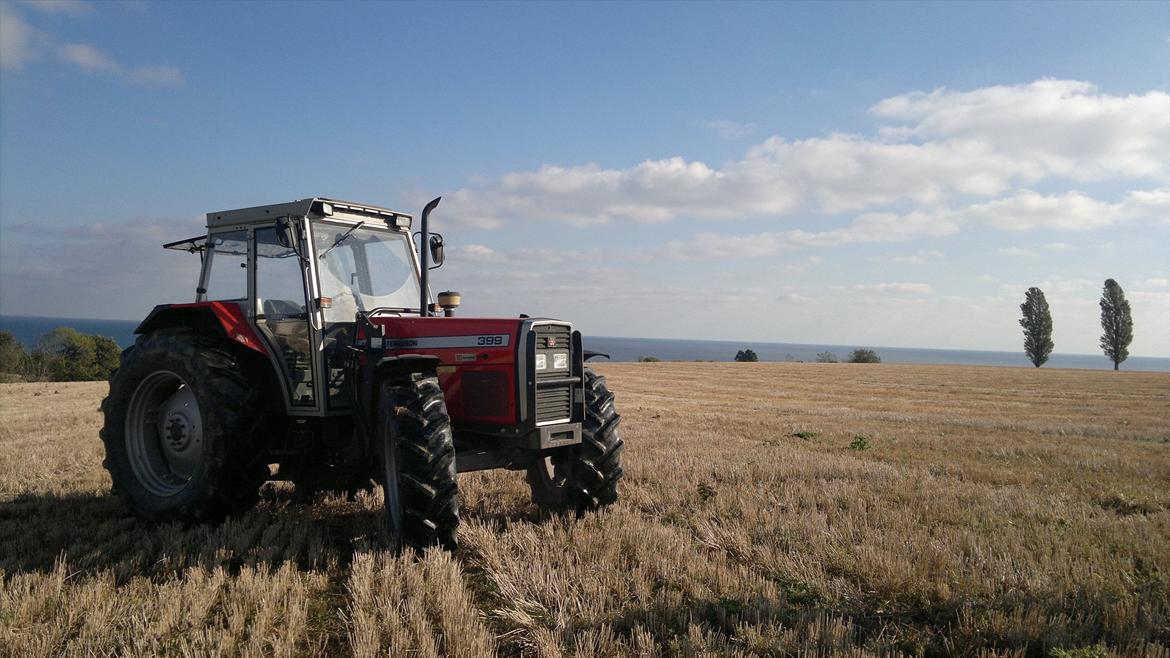 Massey Ferguson 399 billede 6