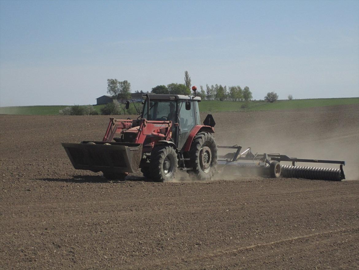 Massey Ferguson 4255 billede 1