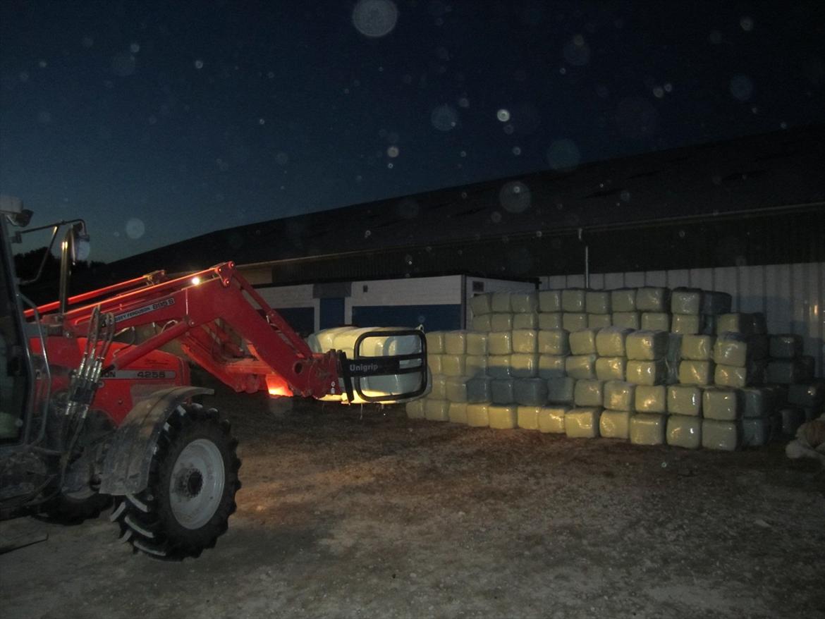 Massey Ferguson 4255 - Stabling af Småballer billede 2