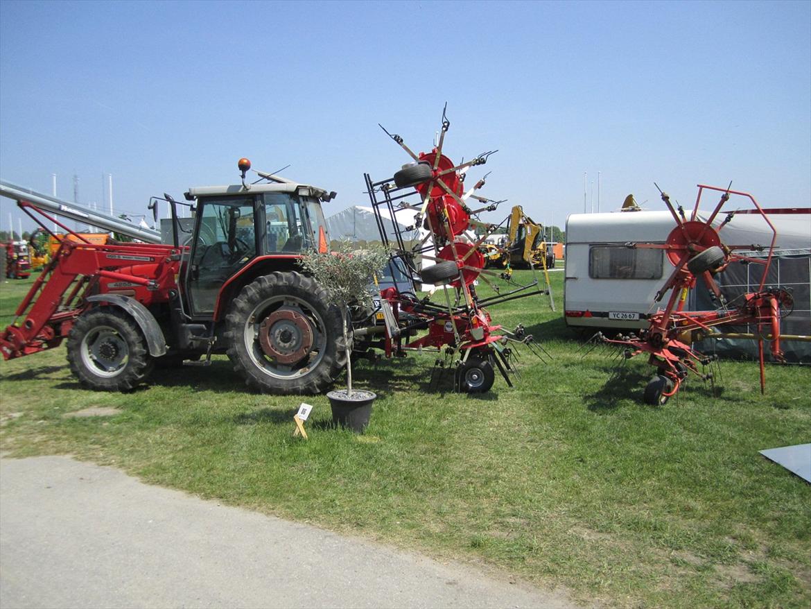Massey Ferguson 4255 - I Roskilde og hente ny græs spreder 2011 billede 4