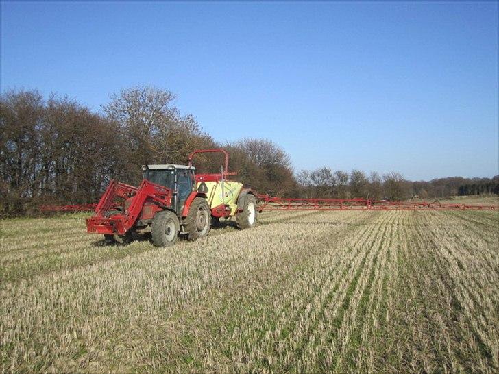Massey Ferguson 4255 billede 7