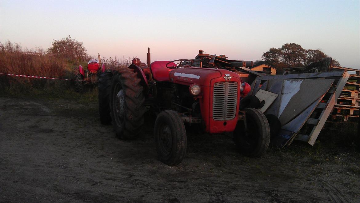 Massey Ferguson 35 billede 1