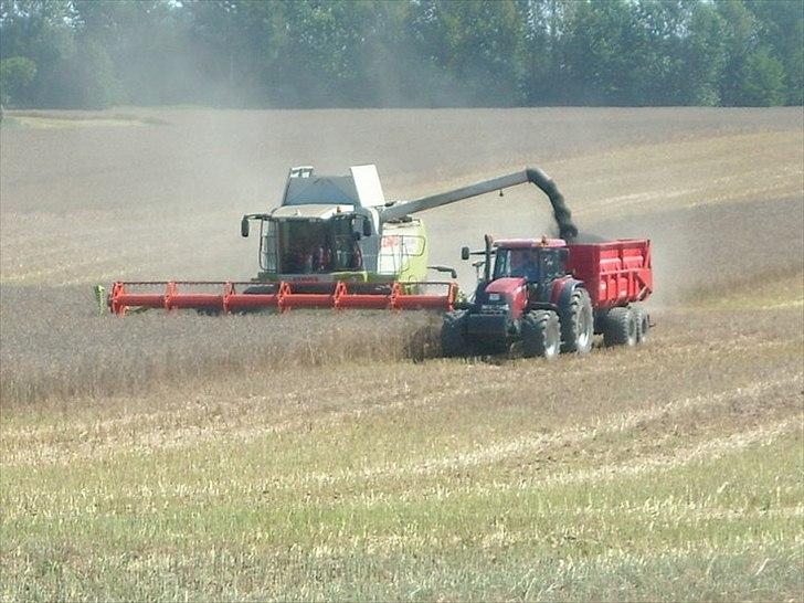 Case IH Maxxum 190 billede 2