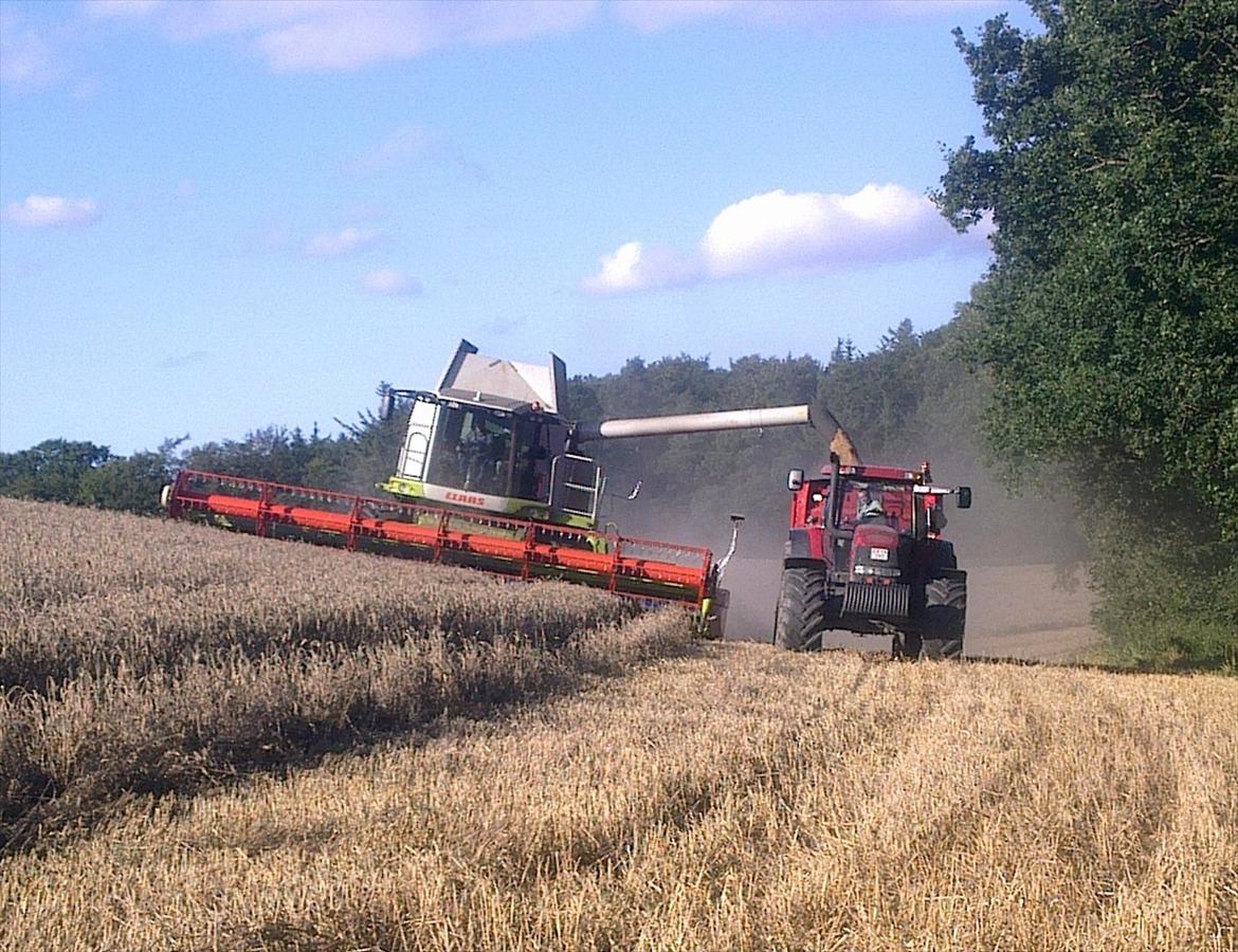 Case IH Maxxum 190 billede 6