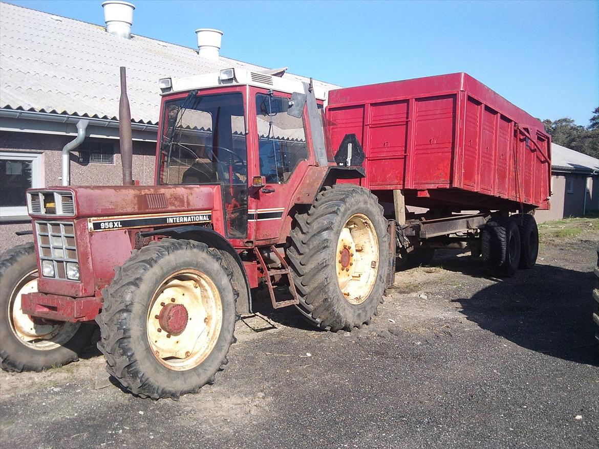 International Harvester 956XL billede 8