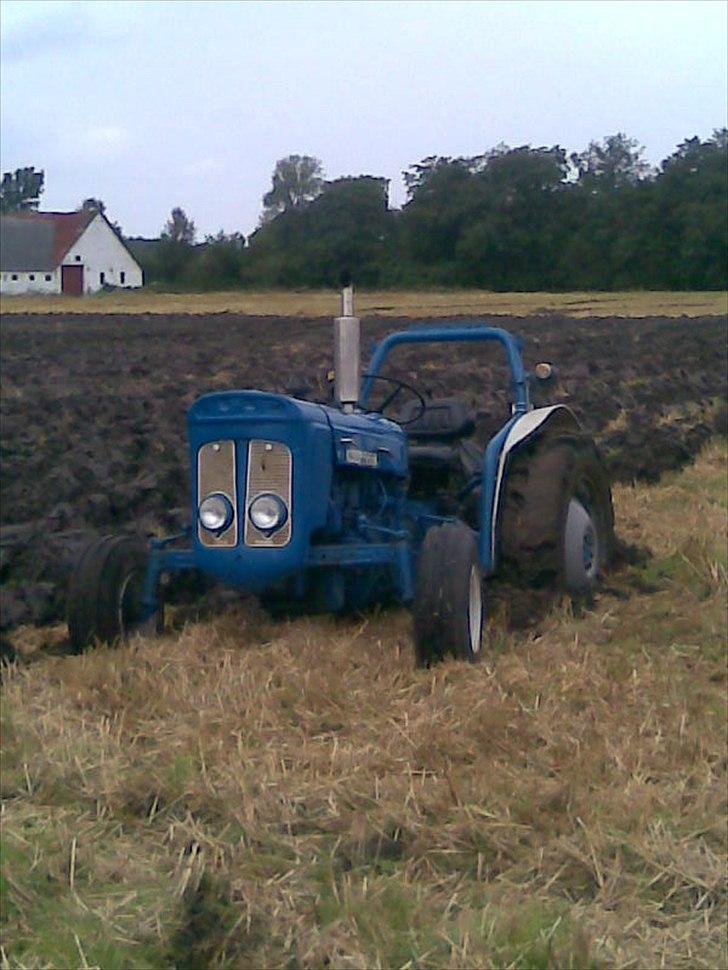 Fordson super dexta - veteranpløjedag med Han Herreds Traktorlaug ;) billede 4