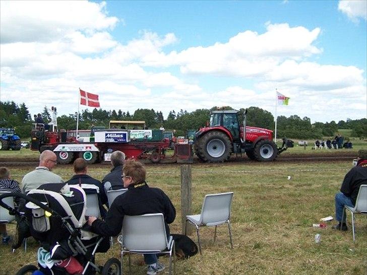 Massey Ferguson 7495 billede 8