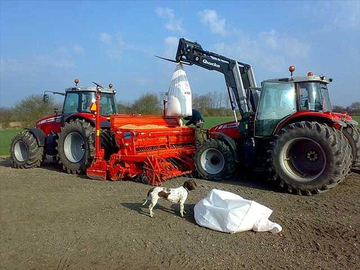 Massey Ferguson 7495 billede 19