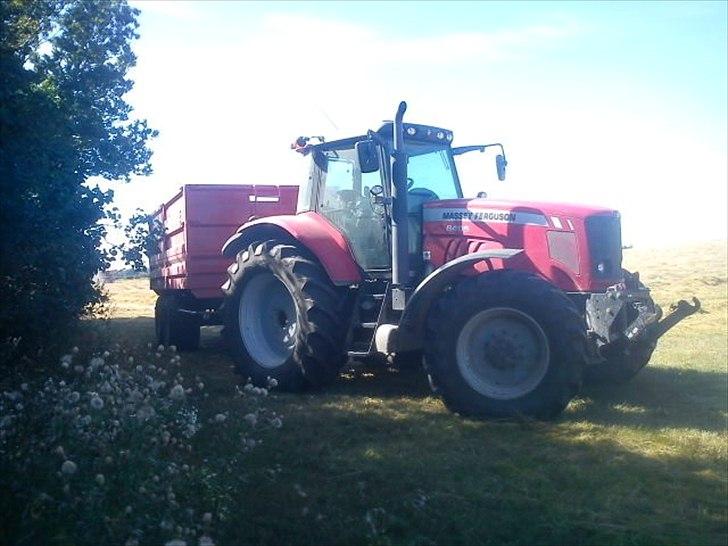 Massey Ferguson 6495 billede 2