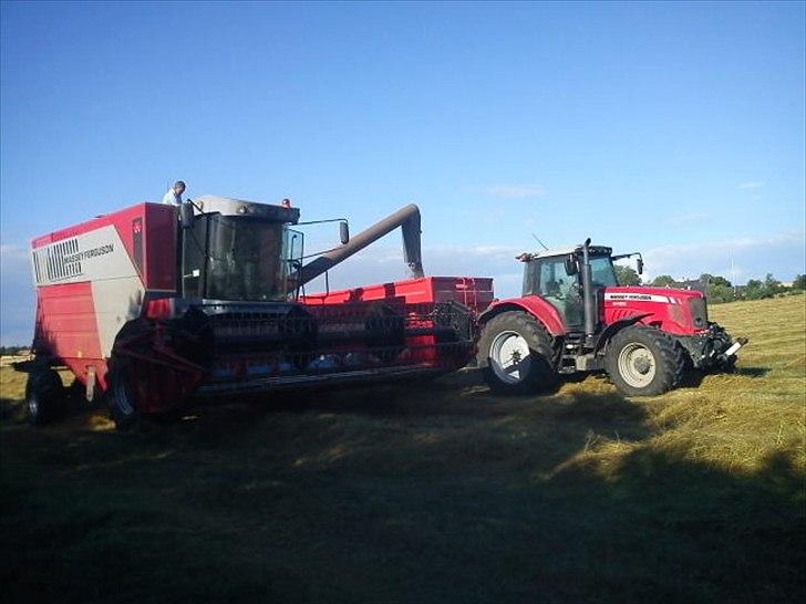 Massey Ferguson 6495 billede 9