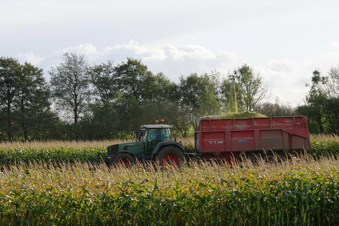 Fendt 930 vario TMS - majs 2011 billede 16