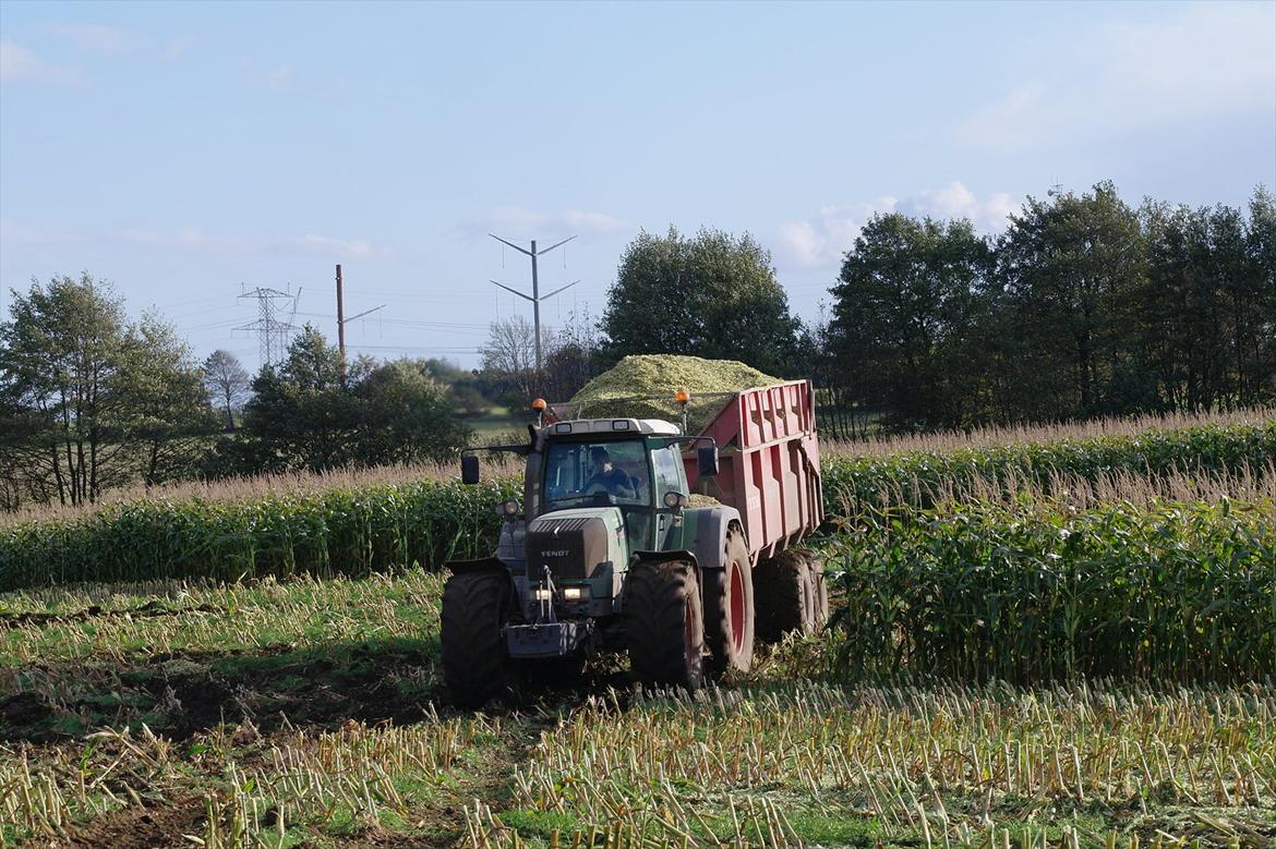 Fendt 930 vario TMS - majs 2011 billede 17