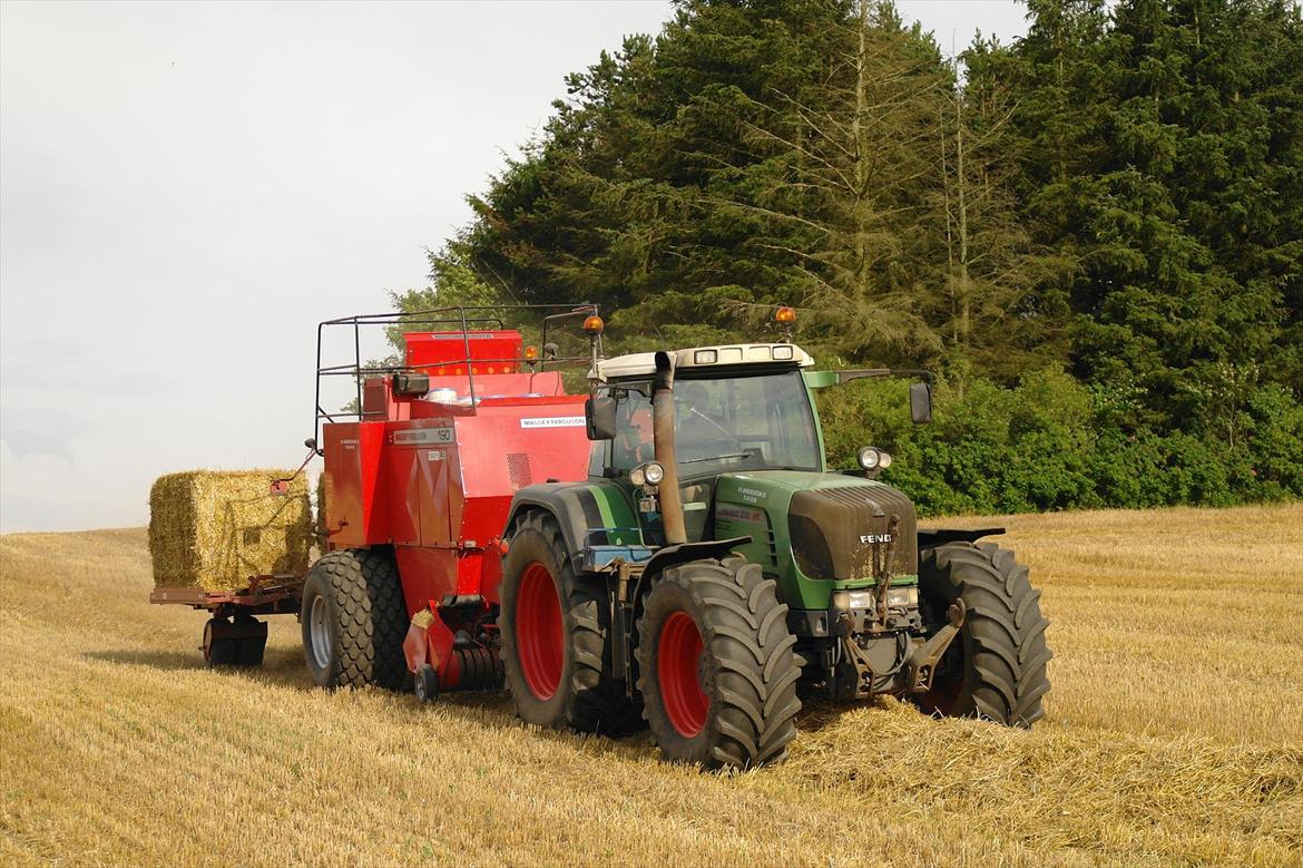 Fendt 930 vario TMS - en af de få dage i 2011 hvor det ikk regnet billede 1