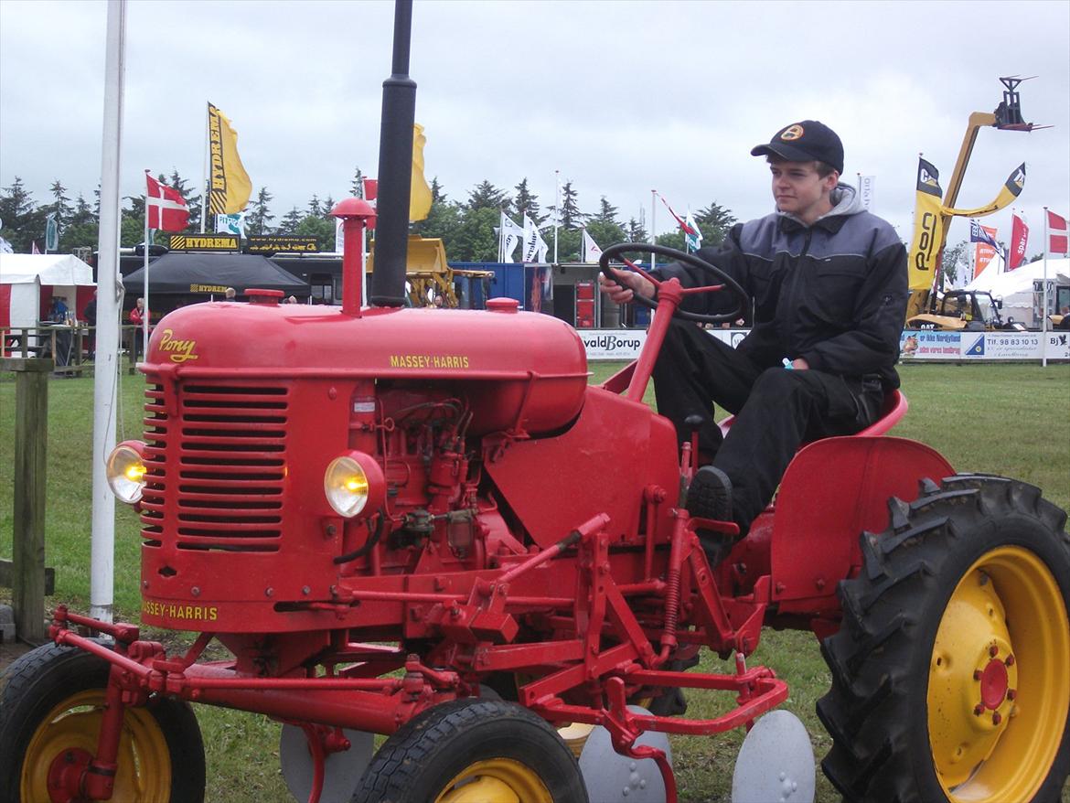 Massey Harris Pony 812 - Til Hjørring dyreskue billede 10