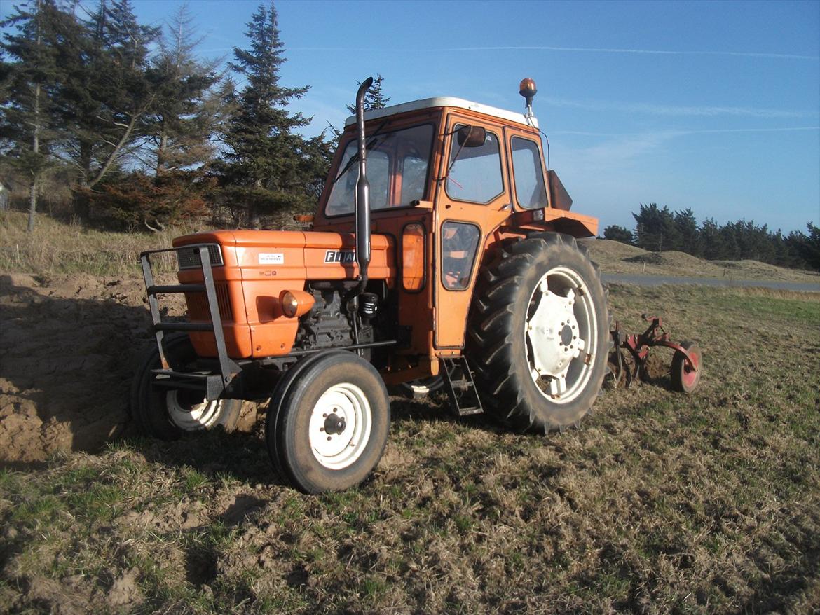 Fiat 640 - Pløjning af gammel græsmark, billede 5