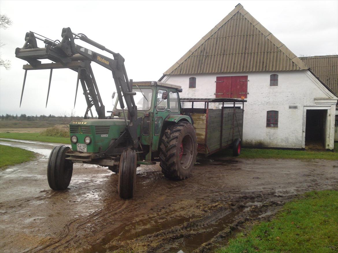 Deutz-Fahr D 7006 - ved og flytte kalve fra lille stald i baggrunden til den store billede 8