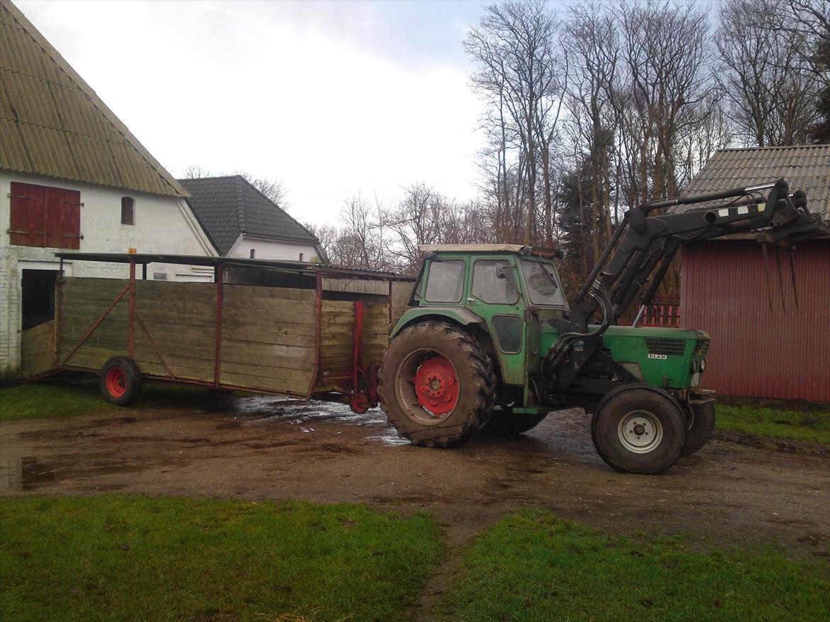 Deutz-Fahr D 7006 - ved og flytte kalve fra lille stald i baggrunden til den store billede 9