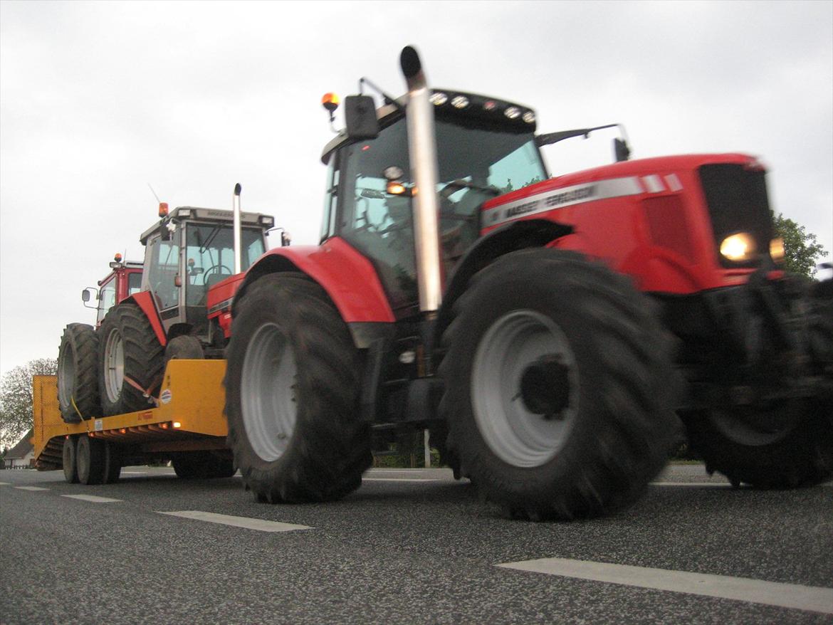 Massey Ferguson 3050 billede 10