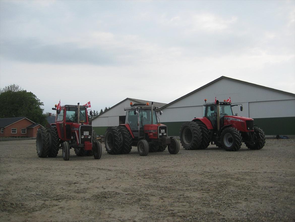 Massey Ferguson 3050 billede 11