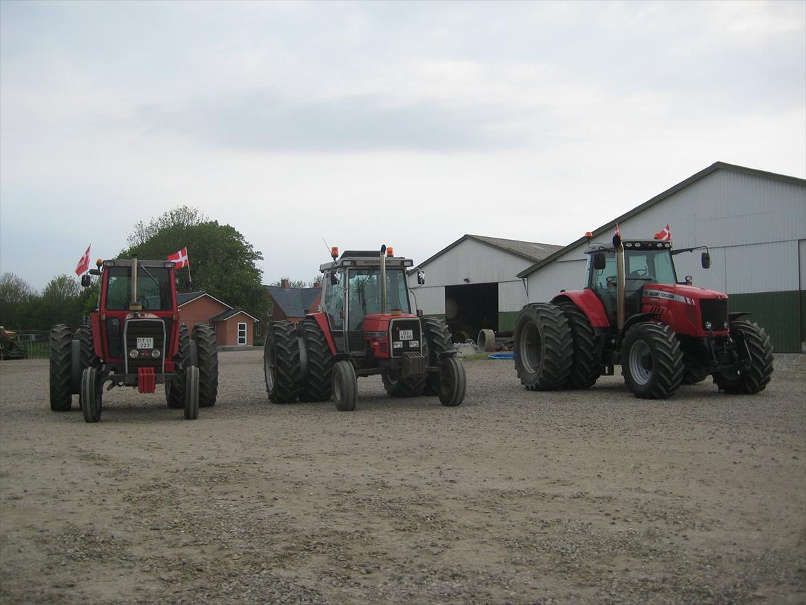 Massey Ferguson 3050 billede 12