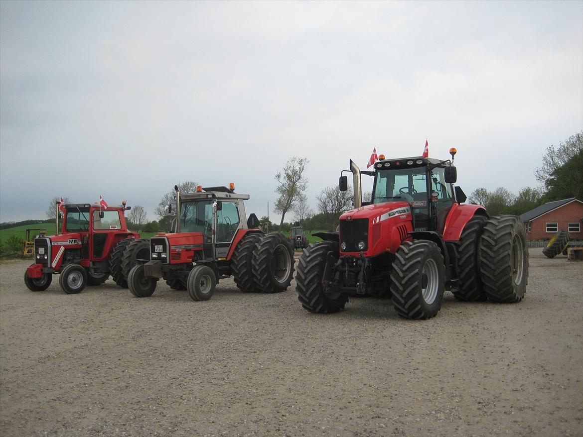 Massey Ferguson 3050 billede 13