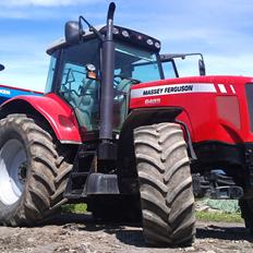 Massey Ferguson Dyna-6 6485