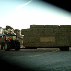 Valtra 8150