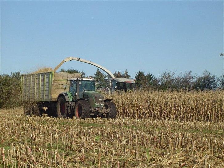 Fendt 933 Vario Profi billede 1