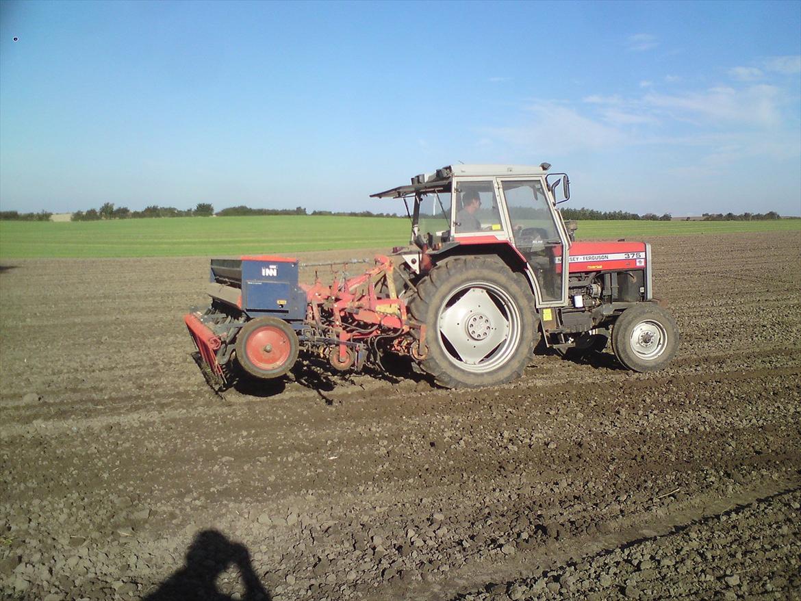 Massey Ferguson 375 - Ude at så med 3 meters nordsten med combi harve.  billede 8