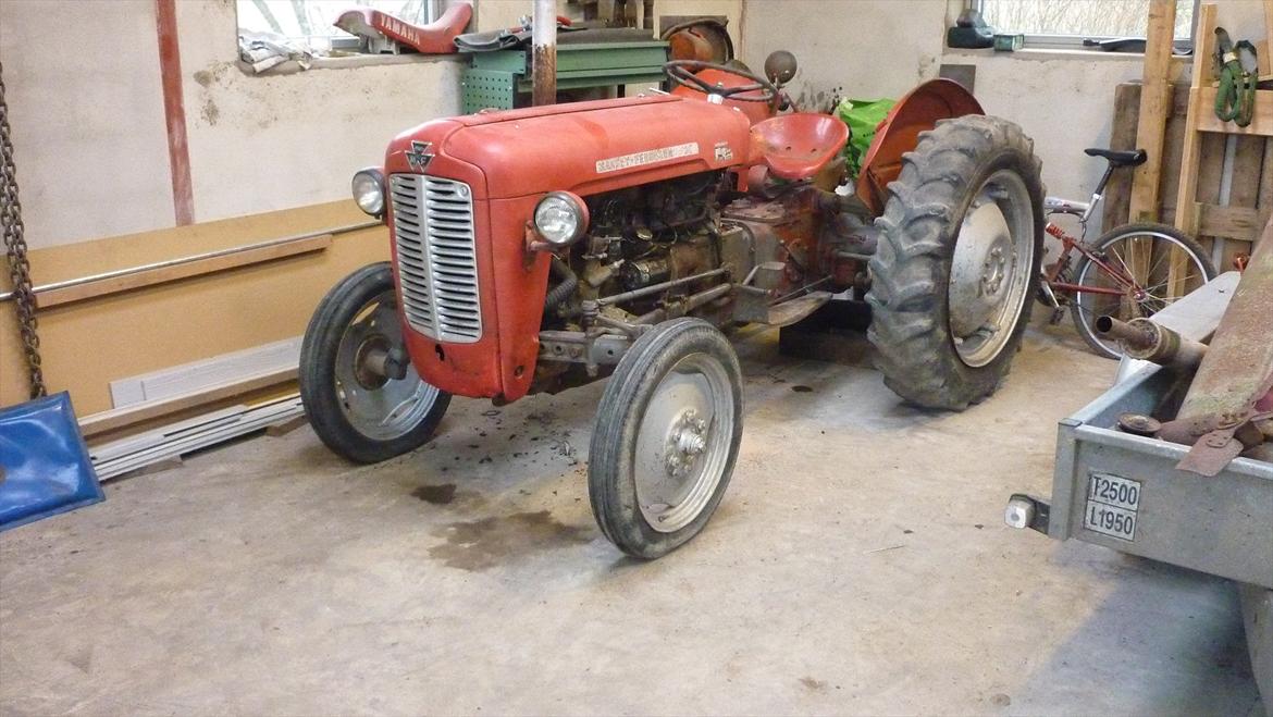 Massey Ferguson 35 billede 2