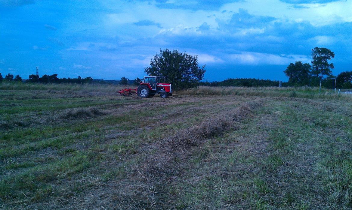 Massey Ferguson 2680 billede 6