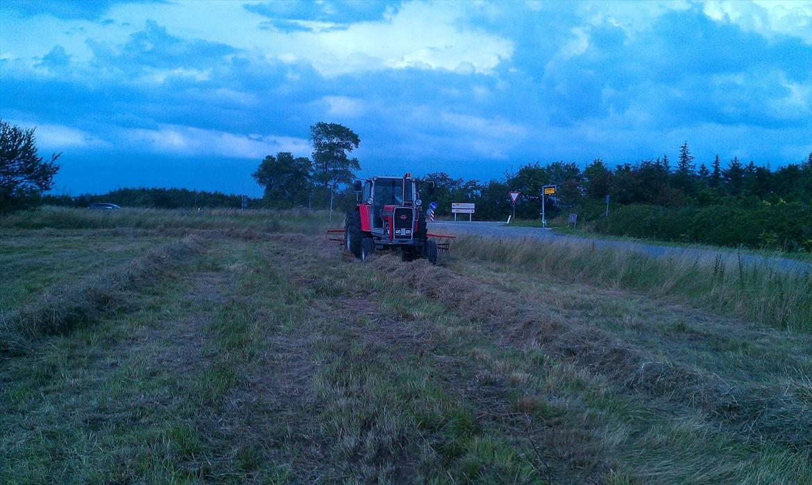 Massey Ferguson 2680 billede 7